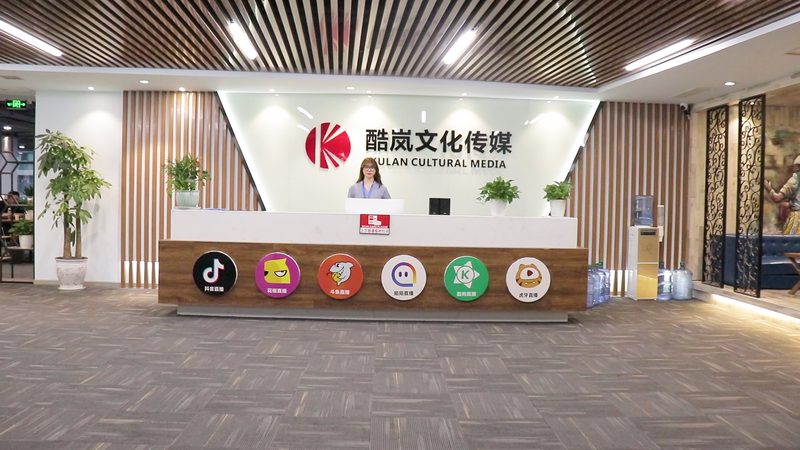 提交材料：创业者需准备以下材料向工商局提交：
